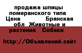 продажа шпицы, померанского типа › Цена ­ 15 000 - Брянская обл. Животные и растения » Собаки   